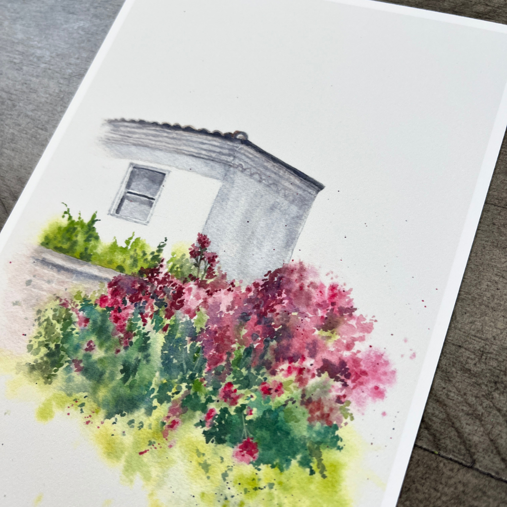 Rose Arch | Postcard