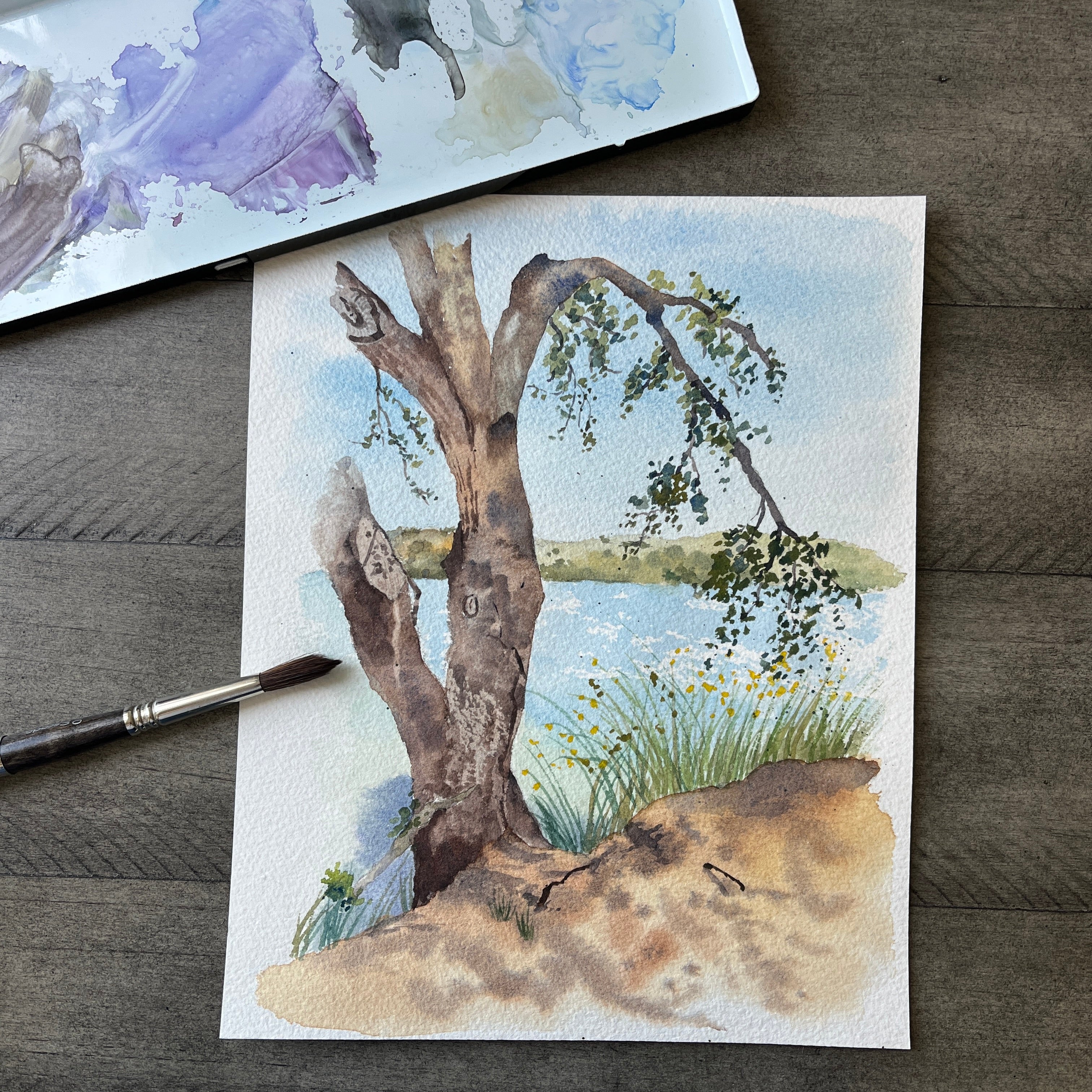 Barbara Lake | Original Artwork
