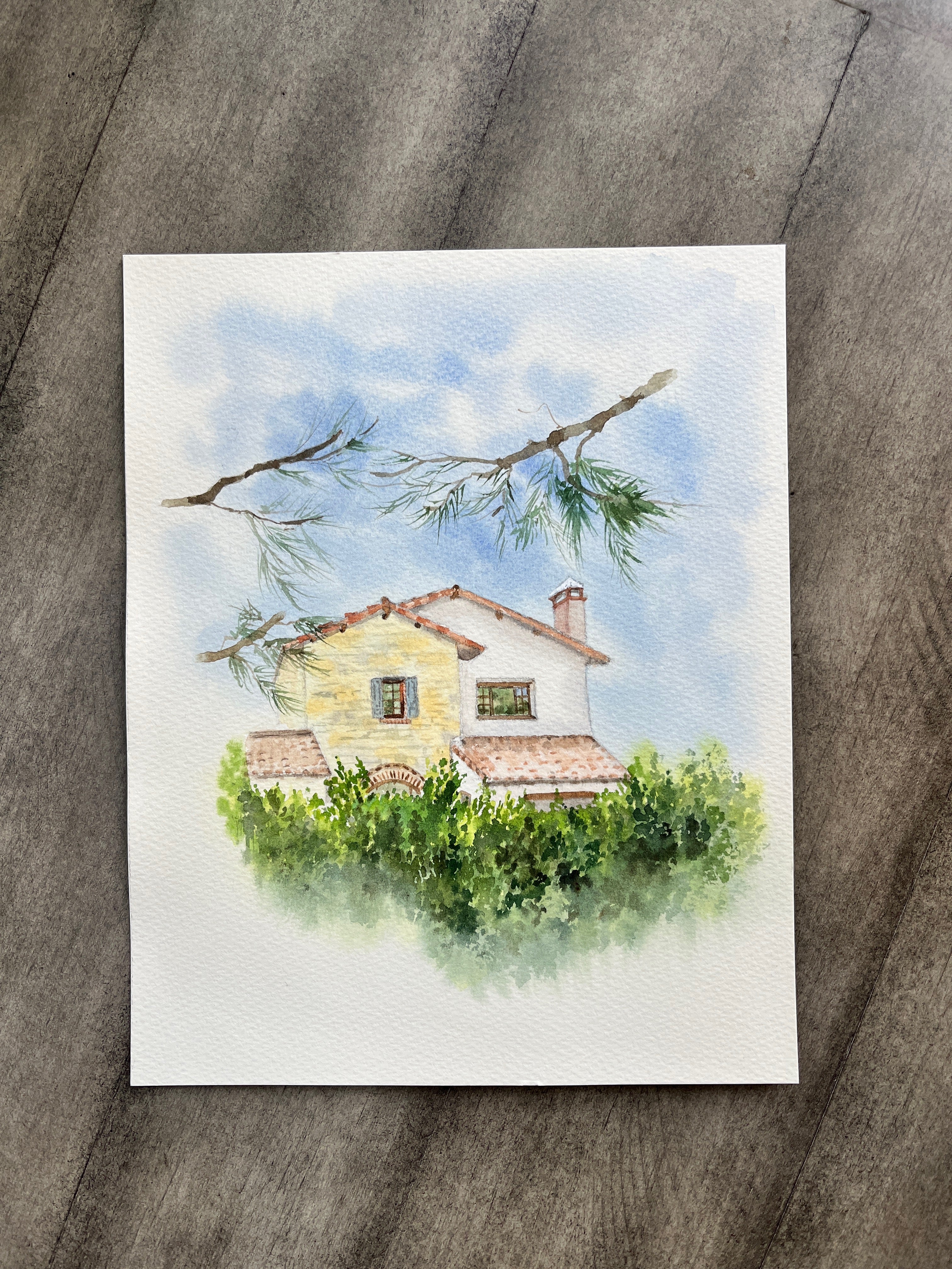 Newport Coast Cypress | Original Artwork