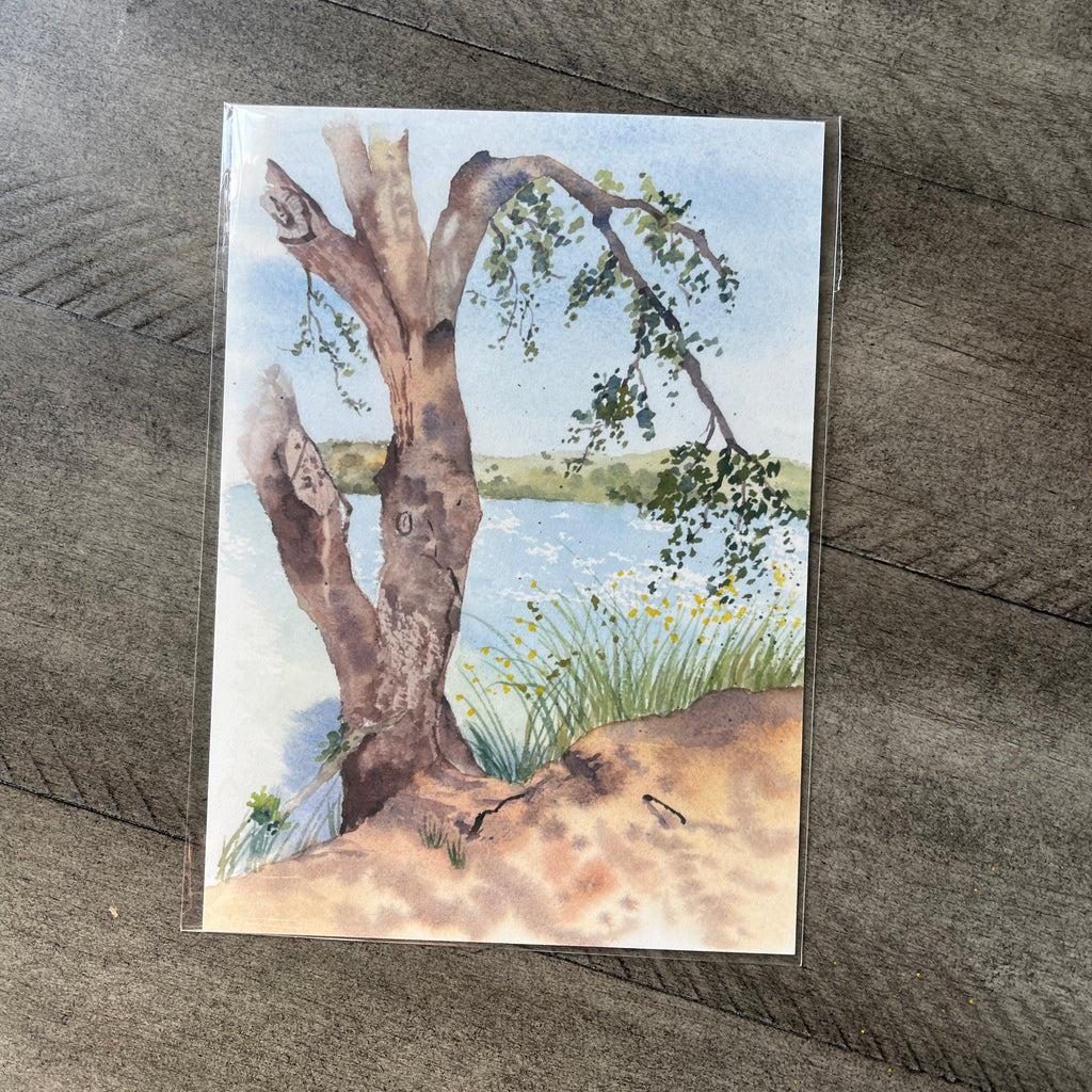 Barbara Lake | Postcard