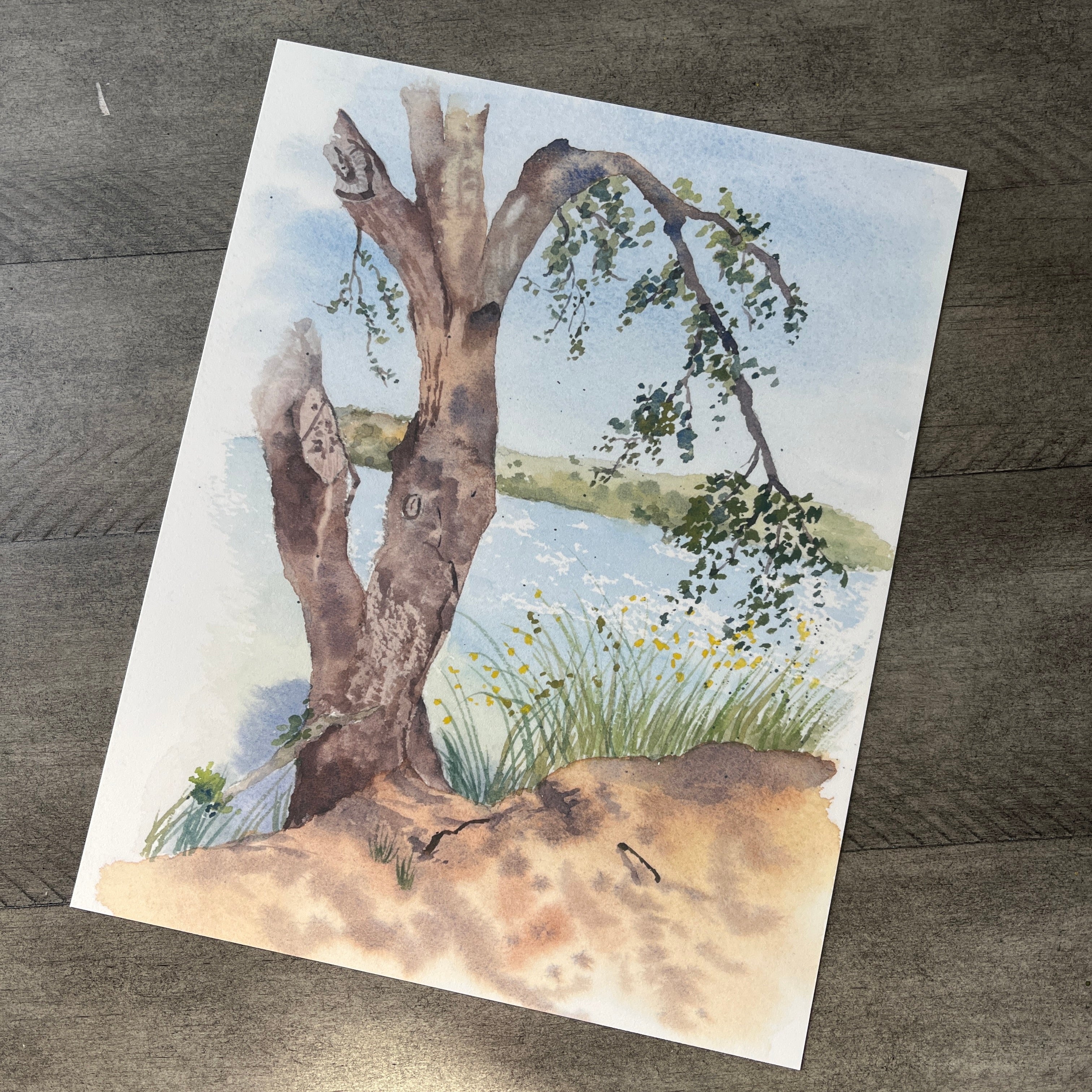 Barbara Lake | Print