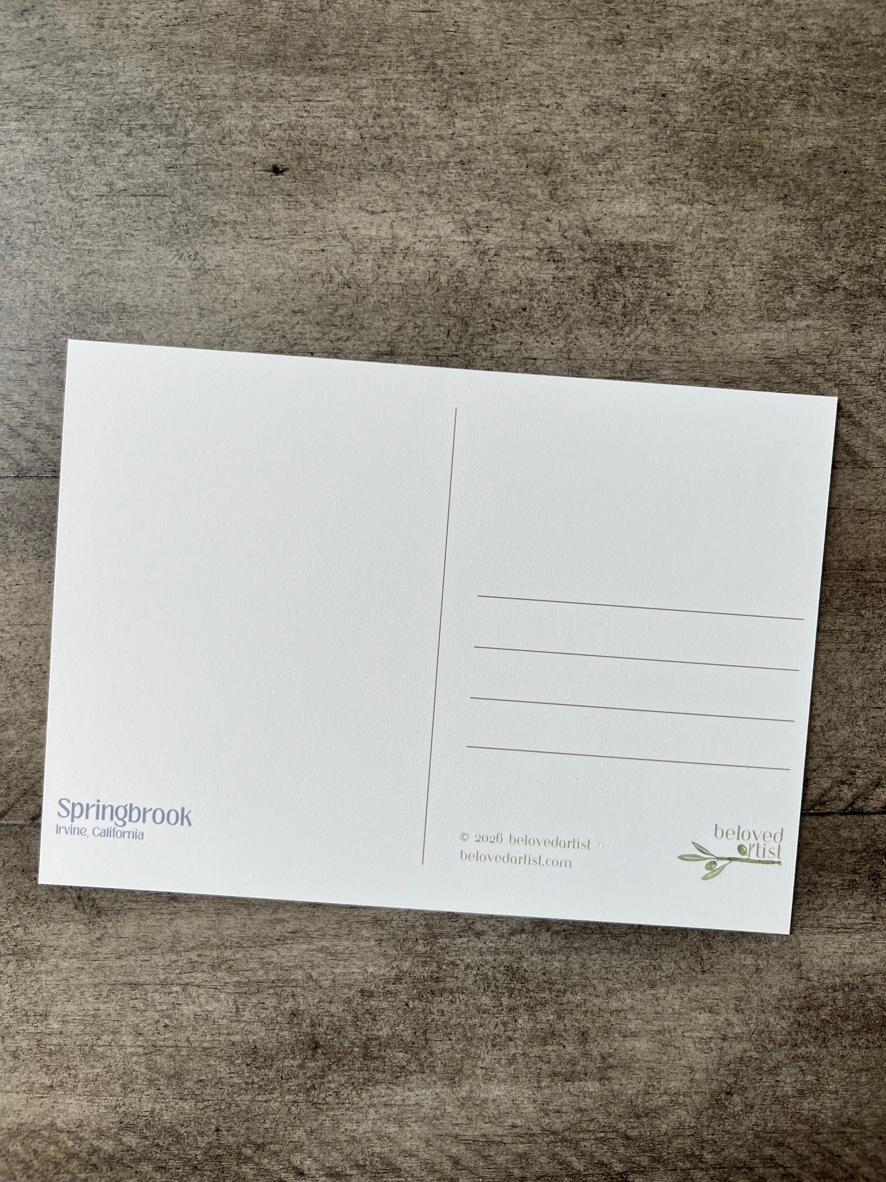 Springbrook | Postcard