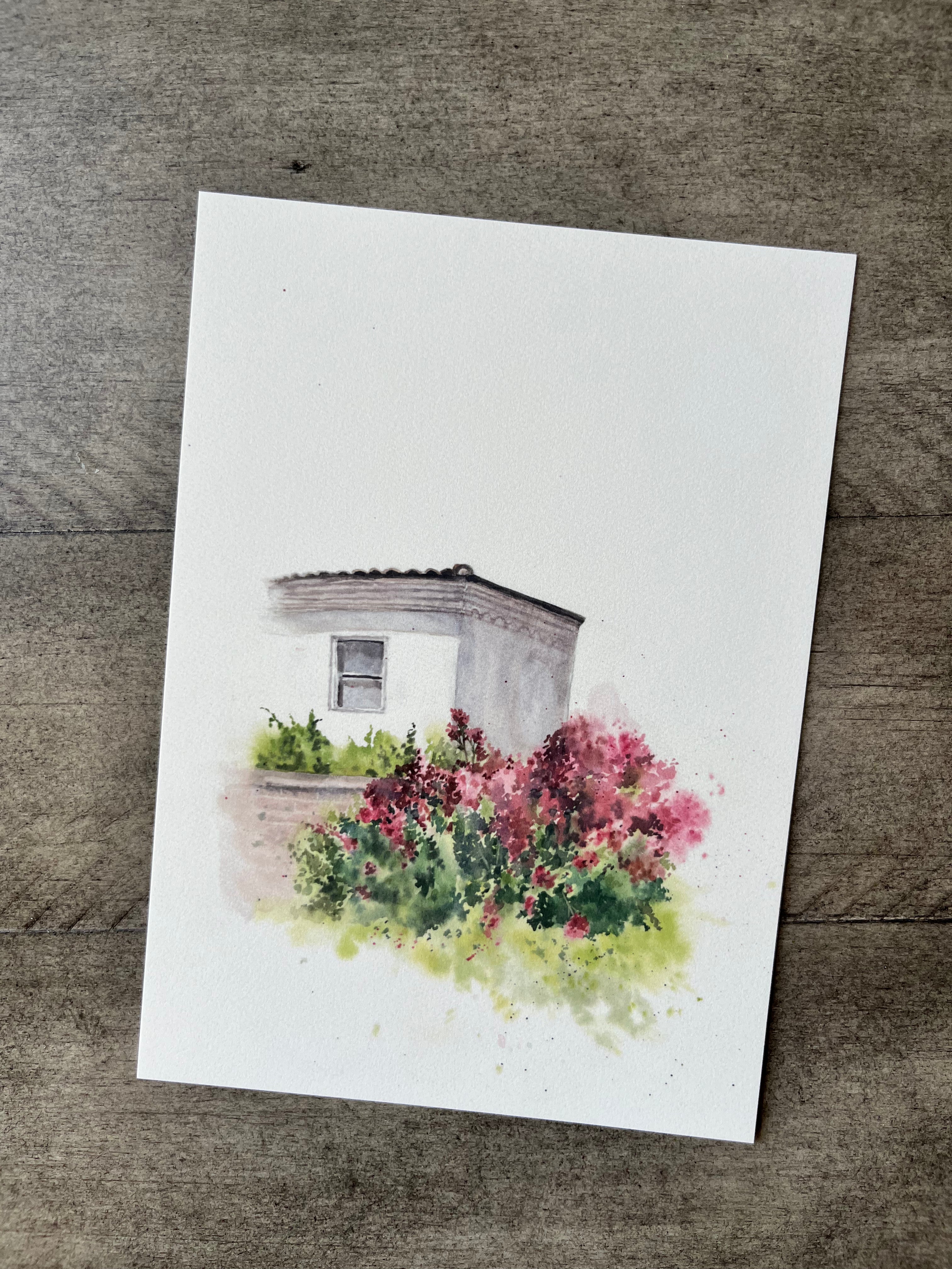 Rose Arch | Postcard