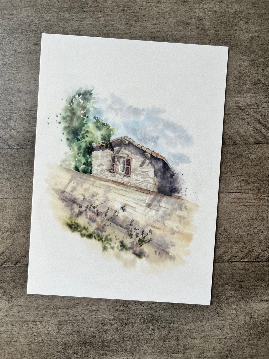 Grassland | Postcard