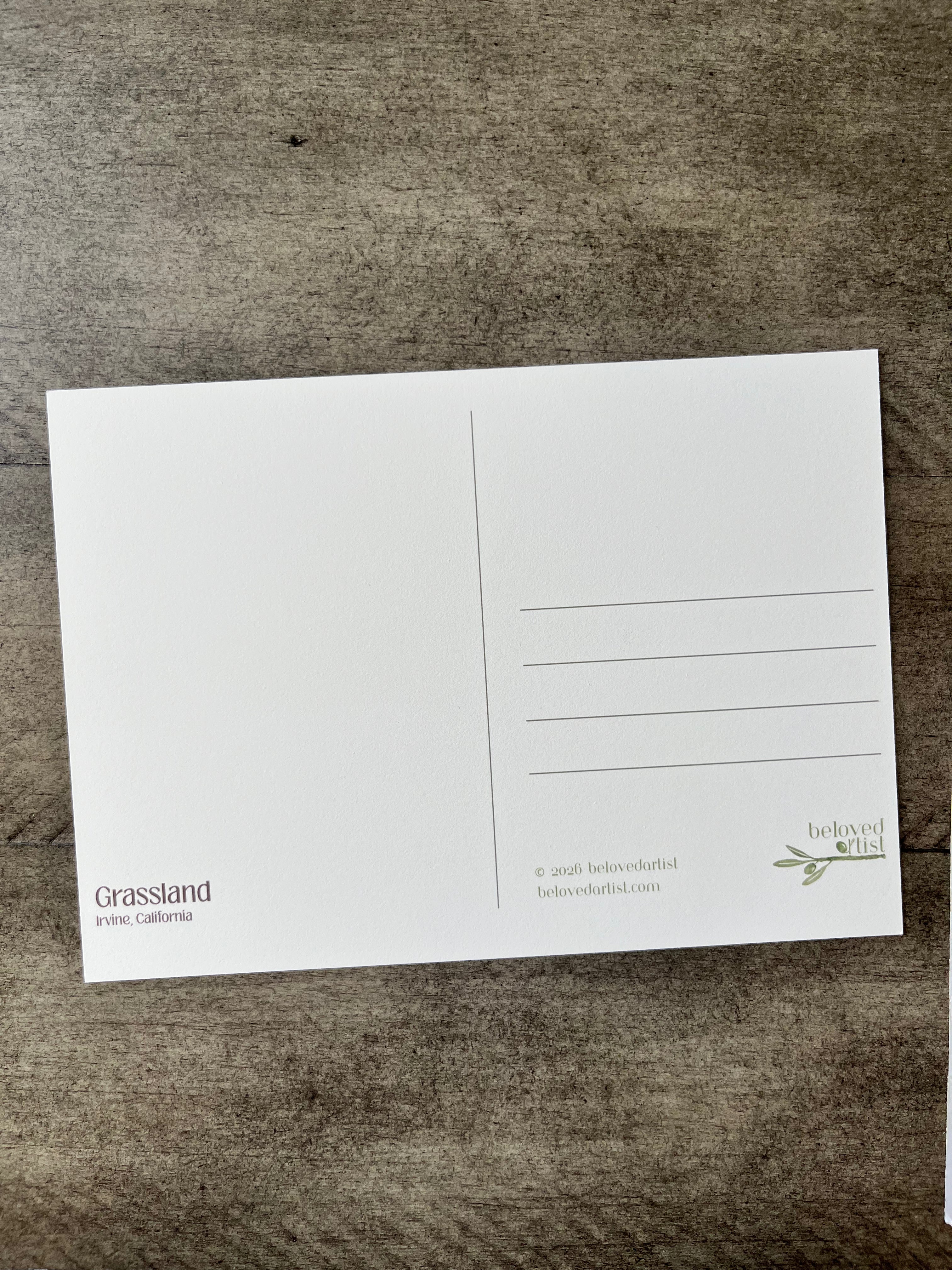 Grassland | Postcard