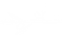BelovedArtist - Home